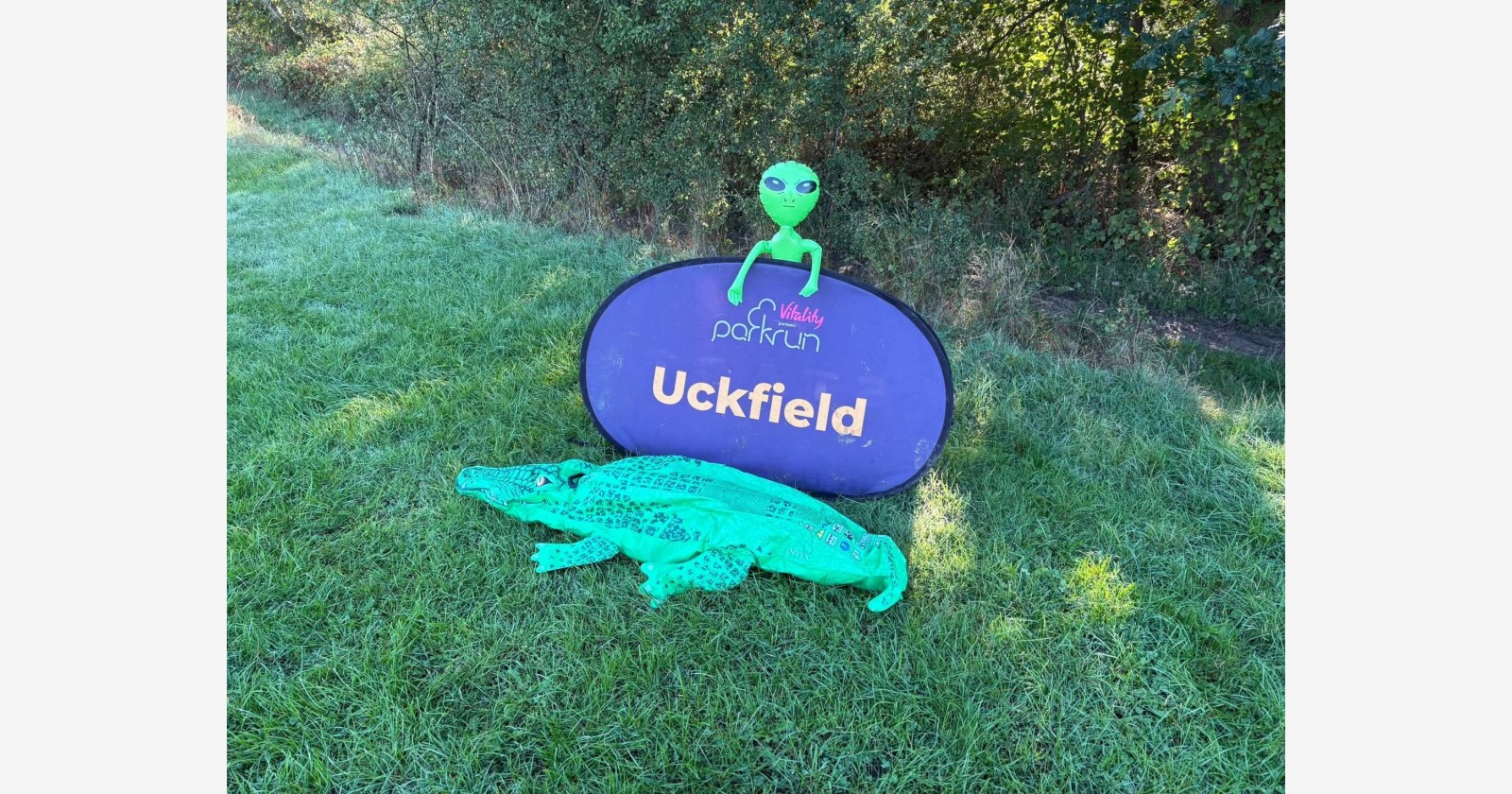 Uckfield companion montage