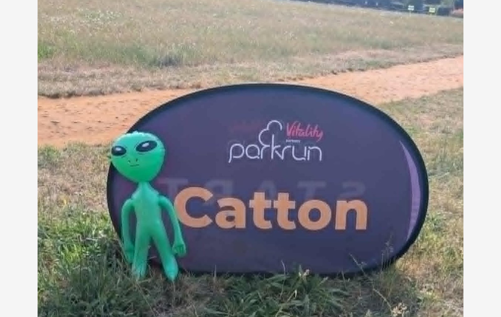 Catton companion montage
