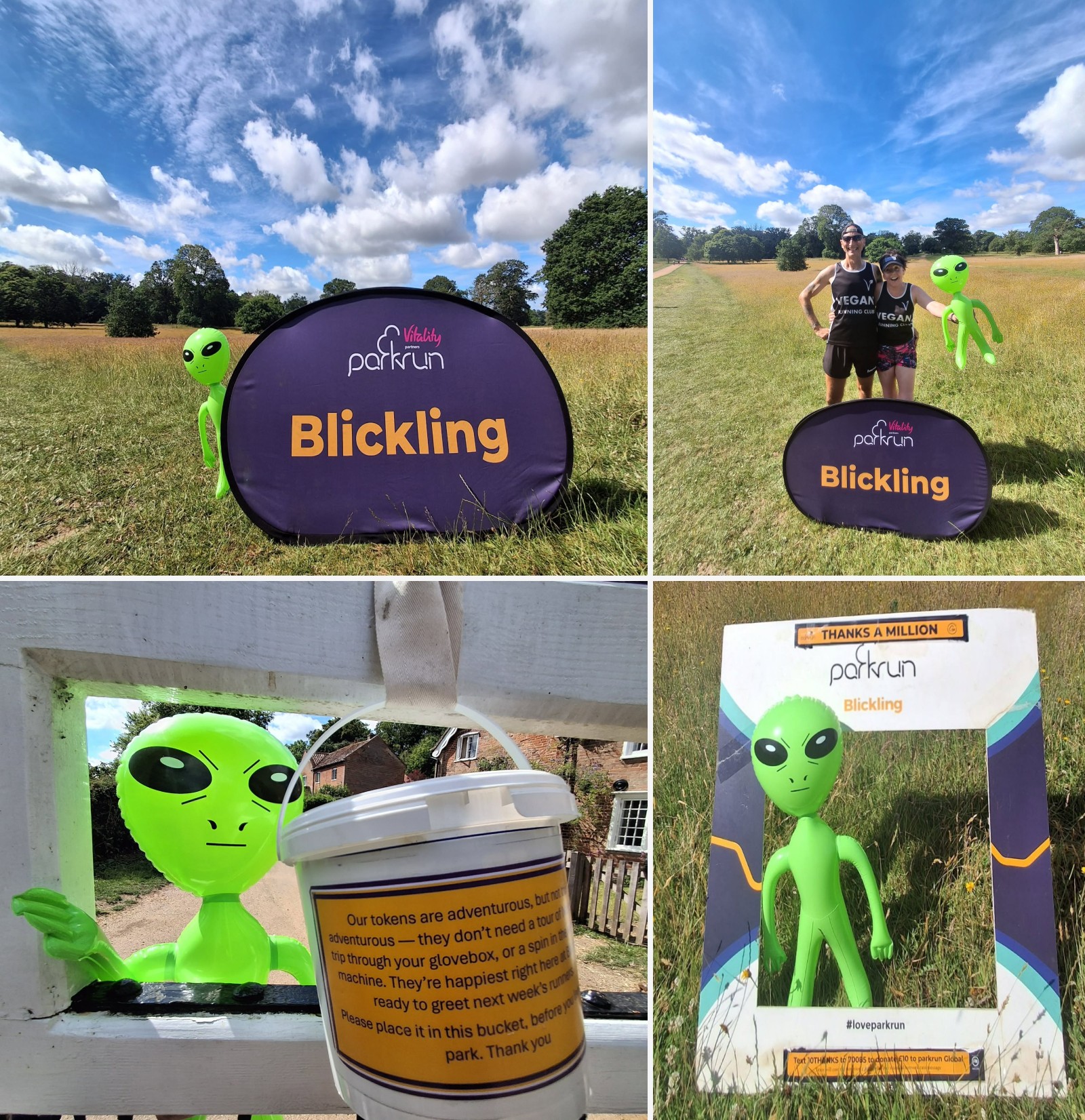 Blickling companion montage