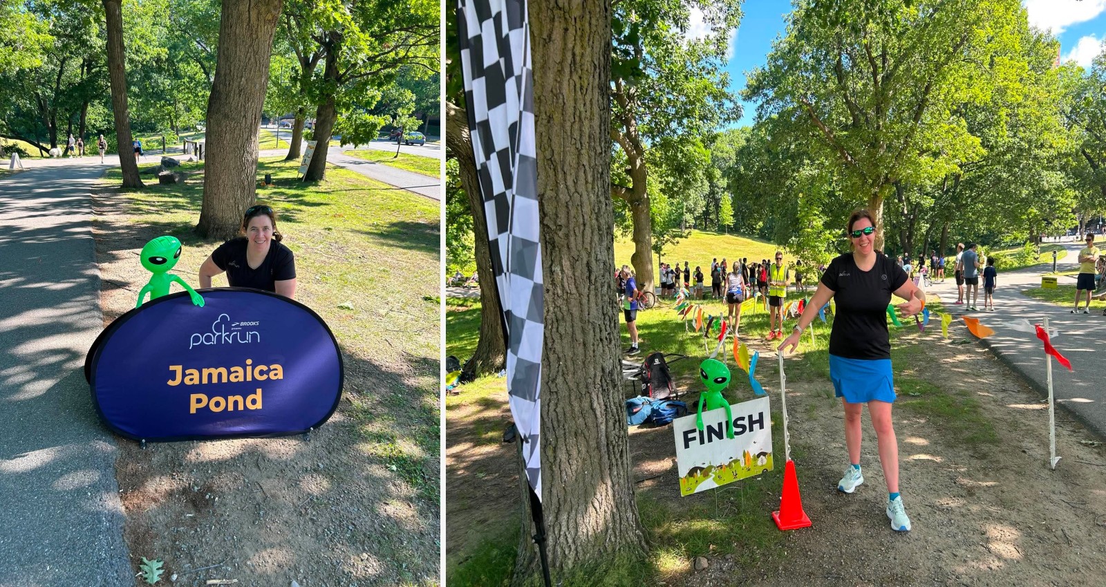Jamaica Pond companion montage