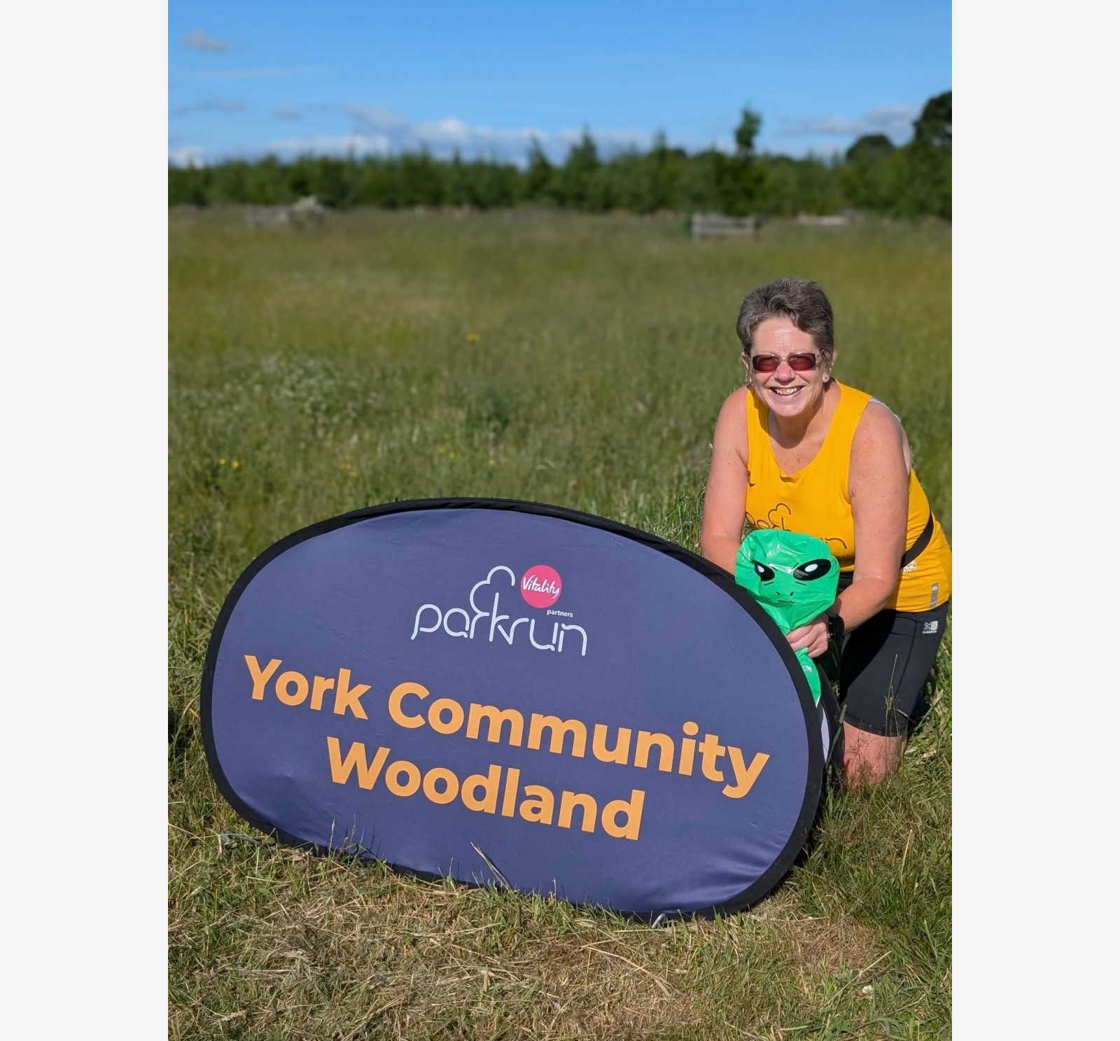 York Community Woodland companion montage